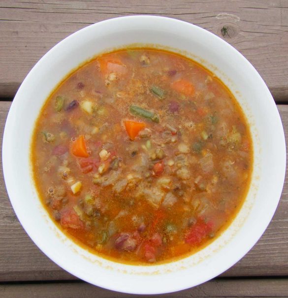 sprouted mung bean soup with sprouted lentils