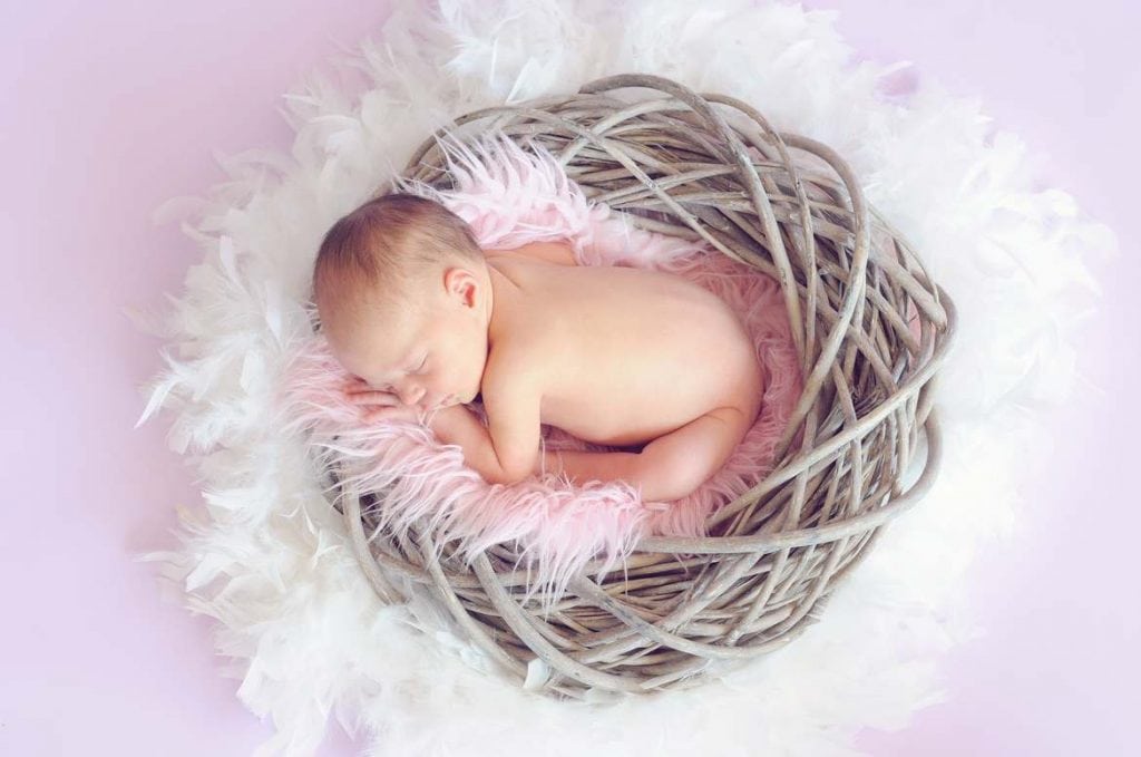 baby photo in a nest