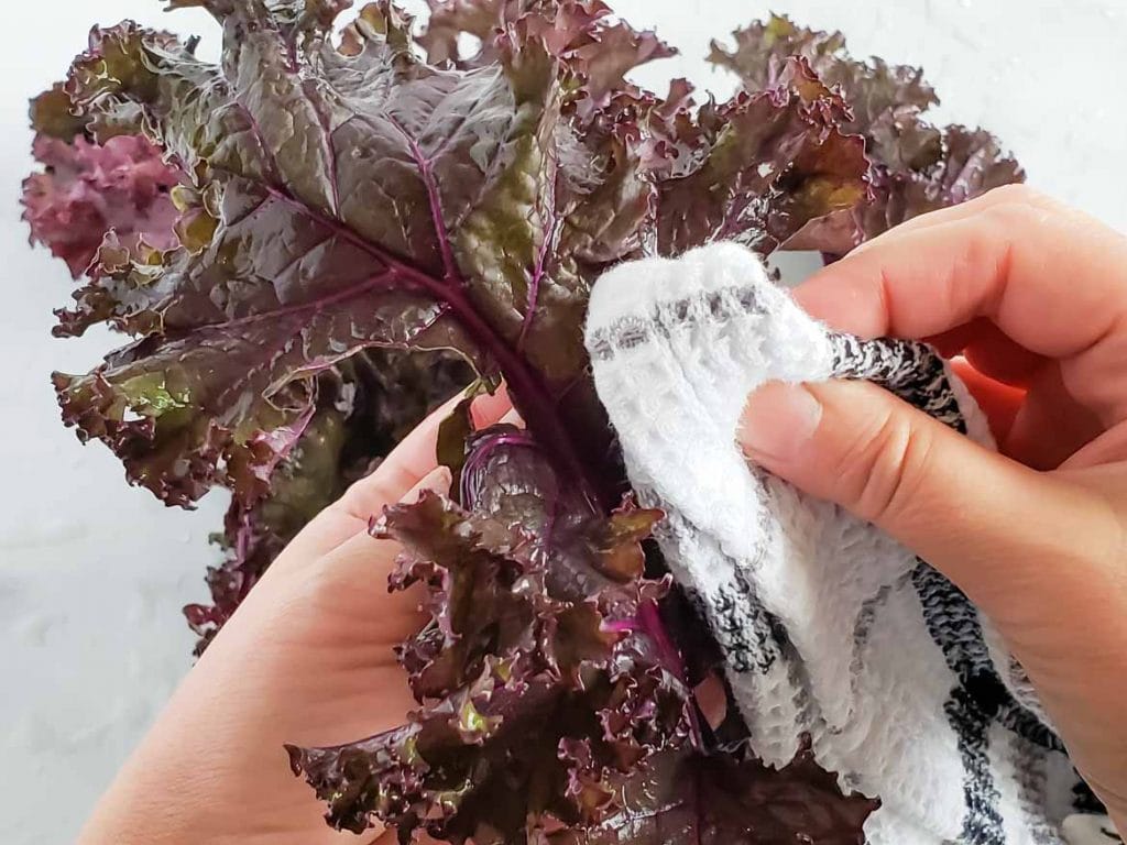 Baked Purple Kale Chips 7946