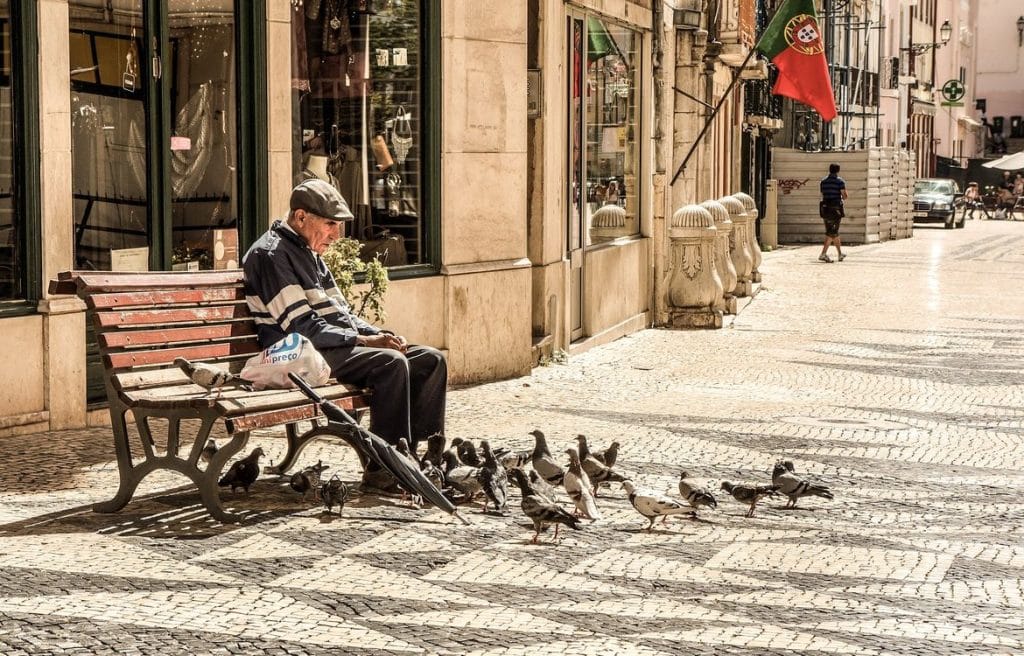 senior on a park bench with pigeons