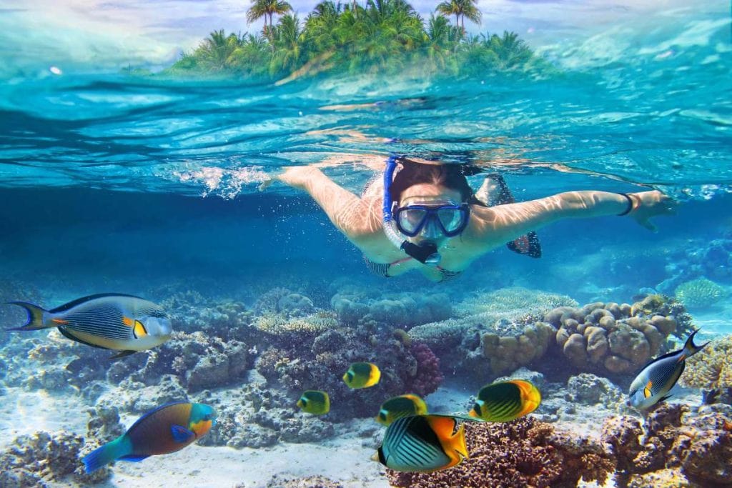 Snorkeling in Thailand 