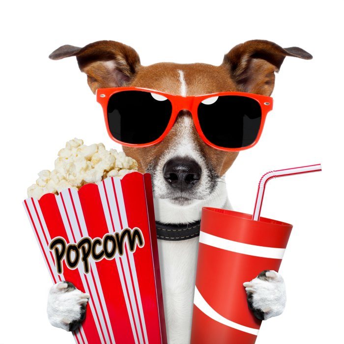 Dog watching a movie with popcorn and coke DP