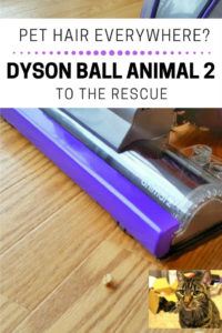 dyson ball animal 2 for pet hair